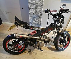 2006 Sachs Madass