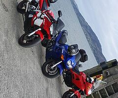 Suzuki gsxr wanted
