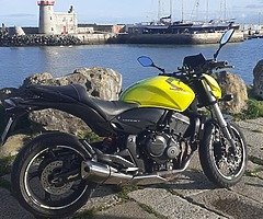 2010 honda hornet