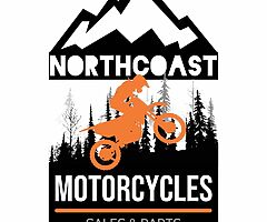2019 CFMOTO C FORCE 450s