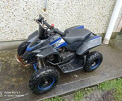 2017 Quad49cc Quad49cc
