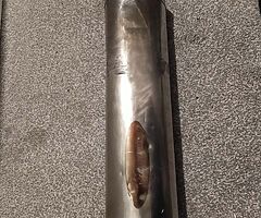 Akrapovic titanium end can 52 mm inlet