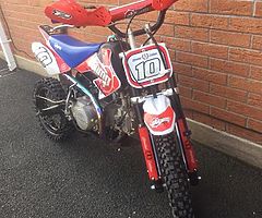 2016 125 limited edi pitbike - Image 5/5