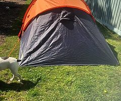 Aventura 4 man tent