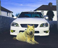JAP CAR WANTED