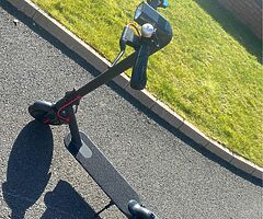 Adults Electric Scooters