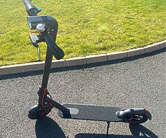 Adults Electric Scooters