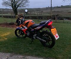 2005 Honda CBR - Image 7/8