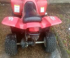 2014 Eton viper quad  Viper