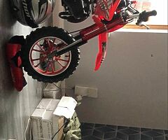 2021 A.P.C Motor Company Wild Card