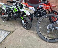 2021 A.P.C Motor Company Wild Card - Image 3/3