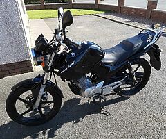2010 Yamaha YBR