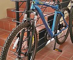 2 Adult bikes