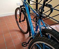 2 Adult bikes