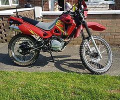 2017 MG Dz 125 trials