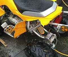 2022 Kazuma  Kazuma falcon