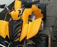 2022 Kazuma  Kazuma falcon