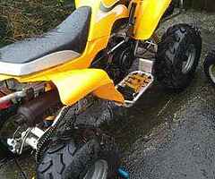 2022 Kazuma  Kazuma falcon