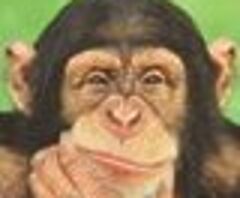 2022 Unique Metal - Image 5/8