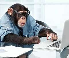 2022 Unique Metal - Image 8/8