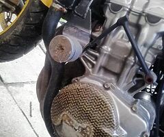 1999 Honda Hornet - Image 5/6