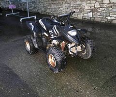Quadzilla 90cc - Image 5/6