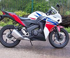 2017 Honda CBR - Image 4/6