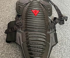 Dainese race back protector