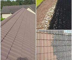 Roof shed and driveway restorations