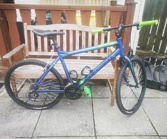 Carrera Bike For Sale