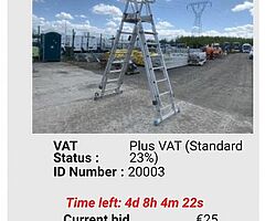 SELECTION OF LADDERS FOR AUCTION - Image 6/10