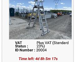 SELECTION OF LADDERS FOR AUCTION - Image 7/10