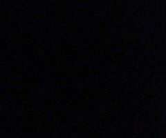 Anyone have a 50cc moped