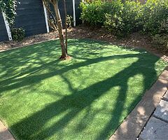 Grass - Image 3/4
