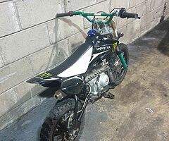 110 stomp pitbike