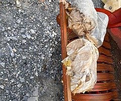 Jones baler working order £800 ono - Image 4/5