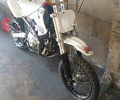 X2 110 pitbikes for sale - Image 4/4