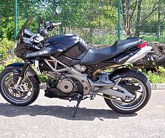 2010 Aprilia Shiver