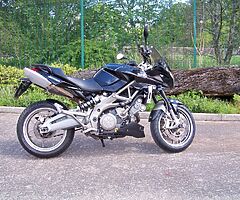 2010 Aprilia Shiver - Image 4/8