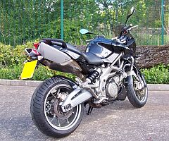 2010 Aprilia Shiver - Image 8/8