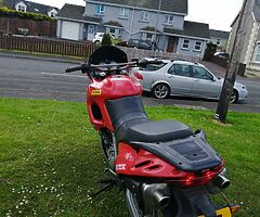 1997 Aprilia Pegaso - Image 7/9