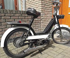 Allegro peddle start bike - Image 3/6