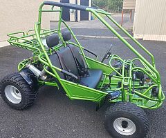 Hammerhead Buggy Teen/Adult Off-Road ,150cc, Automatic No Reverse Great Condition 
07534383178