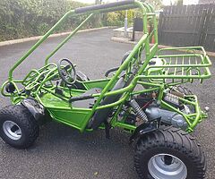 Hammerhead Buggy Teen/Adult Off-Road ,150cc, Automatic No Reverse Great Condition 
07534383178