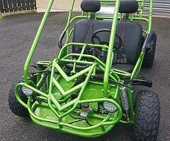 Hammerhead Buggy Teen/Adult Off-Road ,150cc, Automatic No Reverse Great Condition 
07534383178 - Image 3/10