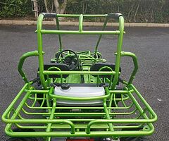 Hammerhead Buggy Teen/Adult Off-Road ,150cc, Automatic No Reverse Great Condition 
07534383178 - Image 6/10