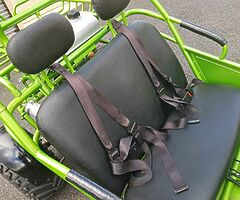 Hammerhead Buggy Teen/Adult Off-Road ,150cc, Automatic No Reverse Great Condition 
07534383178 - Image 7/10