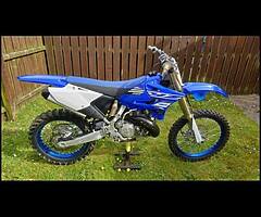 2019 250yz