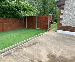 Grass - Image 6/7
