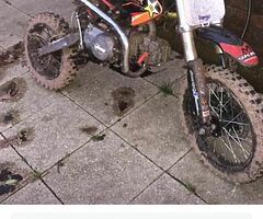 Any cheap bikes about